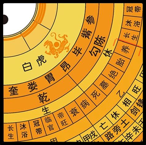 天干掌訣|法術奇門遁甲，教你十二長生天干掌訣，學會終身不忘。